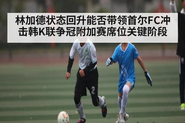 林加德状态回升能否带领首尔FC冲击韩K联争冠附加赛席位关键阶段